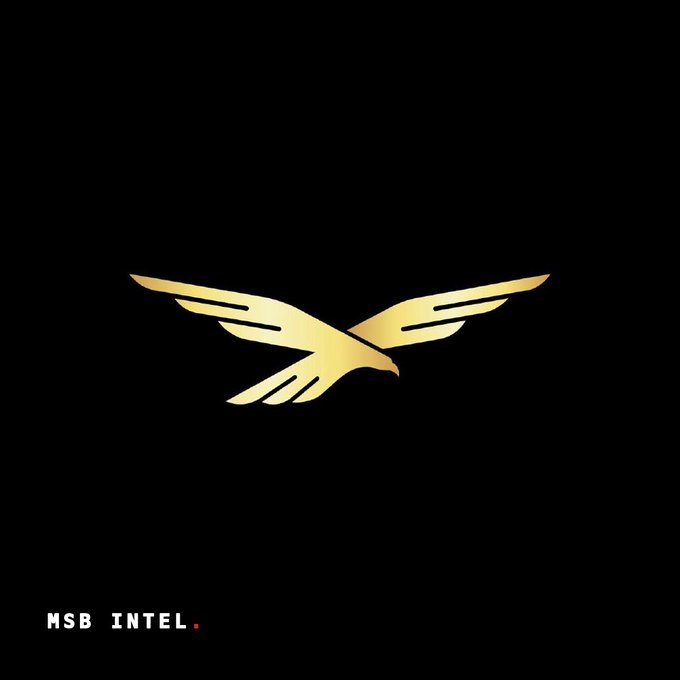 A black logo featuring golden spread wings with 'MSB INTEL.' text displayed in the bottom left corner.