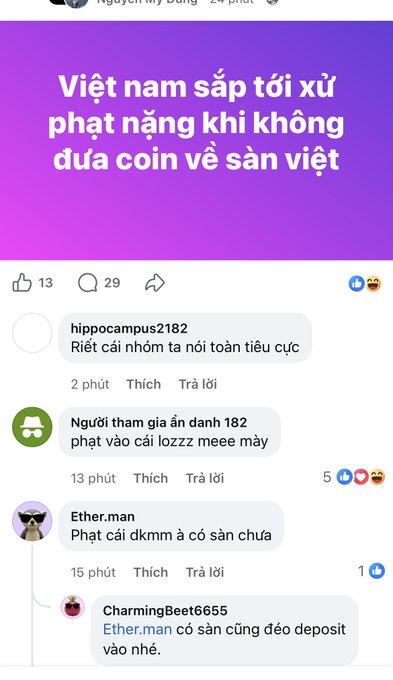 A Vietnamese social media post titled 'Việt nam sắp tới xử phạt nặng khi không đưa coin về sàn việt' with 13 likes, 29 comments, and replies from users including 'hippocampus2182', 'Ether.man', and 'CharmingBet6655'.
