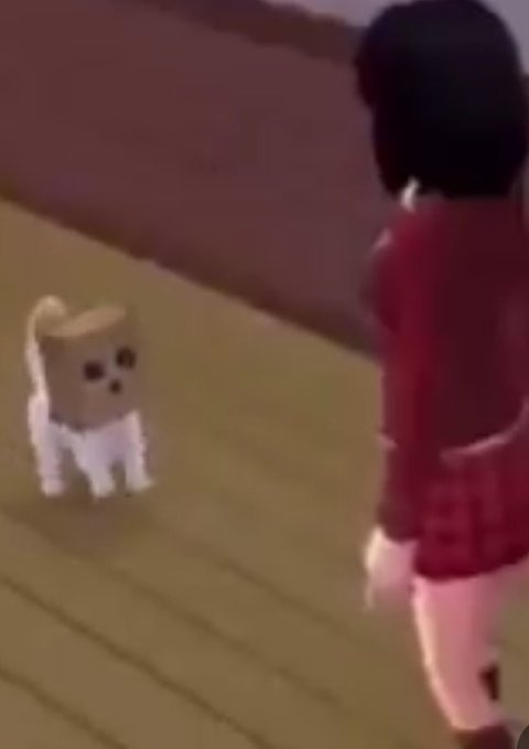 A low-quality video still showing a small, stylized dog looking up at someone wearing a red top, standing on a wooden floor near a dark wall.