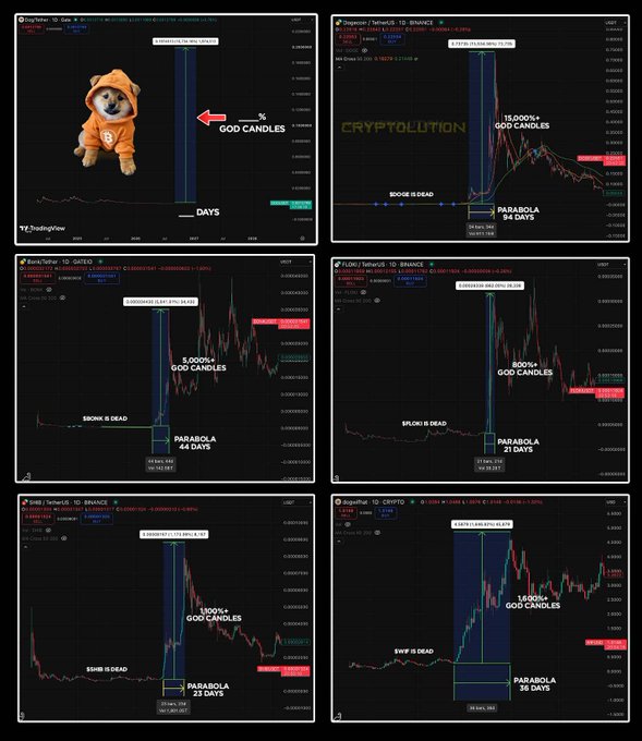A collection of six crypto trading charts showing various tokens with annotations like 'GOD CANDLES', 'CRYPTOLUTION', 'PARABOLA', and labels indicating tokens are 'DEAD' with day counts.