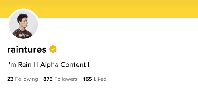 A profile page for 'raintures' (verified) with bio 'I'm Rain | | Alpha Content |' showing 23 Following, 875 Followers, and 165 Liked.