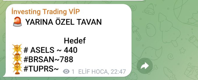 A message in a green chat titled 'investing Trading VIP' showing 'YARINA ÖZEL TAVAN' with target prices for stocks: '# ASELS ~440', '#BRSAN~788', and '#TUPRS~'.