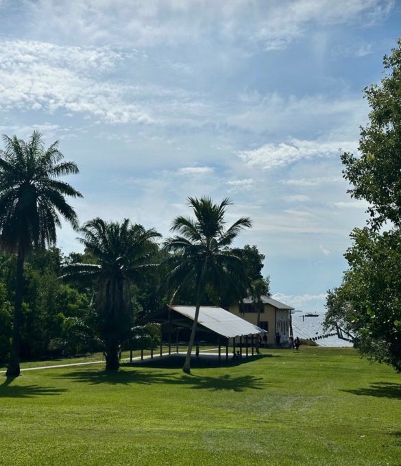 A sunny tropical scene featuring palm trees, a grassy lawn, and a pavilion next to a building, with a body of water and a distant bridge visible in the background.