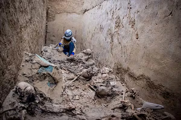 An archaeologist wearing a blue cap carefully excavates a narrow dirt trench filled with ancient, mummified human remains and skeletal bones.