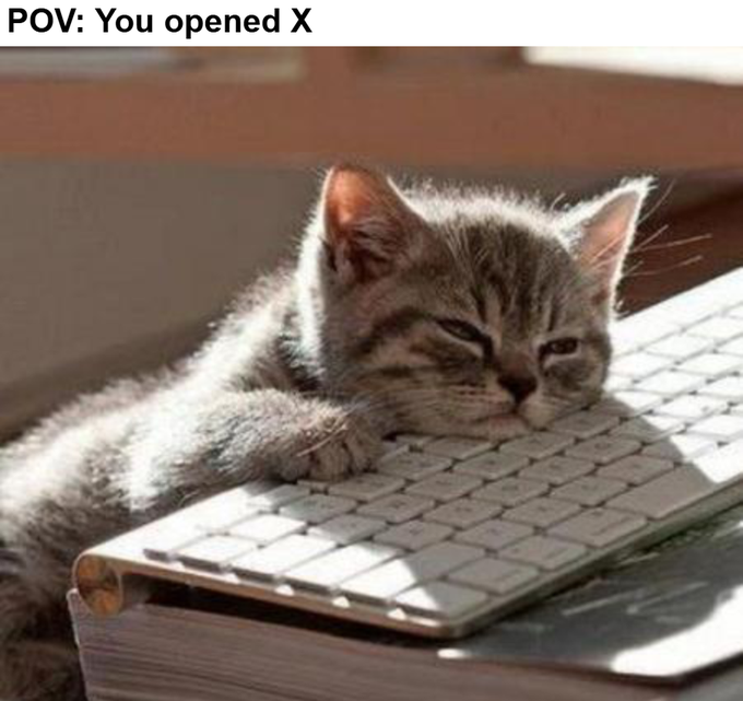 This image captures a young feline comfortably nestled against a computer placed on a stack of books, in a room filled with sunlight. The image relates to the caption "Another successful day of absolutely nothing happening on CT" by showcasing a serene moment embodying the essence of the caption.