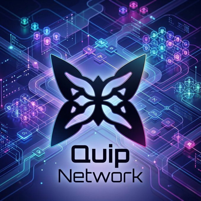 The image features a colorful butterfly graphic with the words "quip network" written underneath, and a small text reading "most people will start paying attention to quantum security after it becomes a problem thats exactly why @quipnetwork interests me while the market is focused on the next narrative quip is building for a risk that could eventually affect every major blockchain ecosystem".