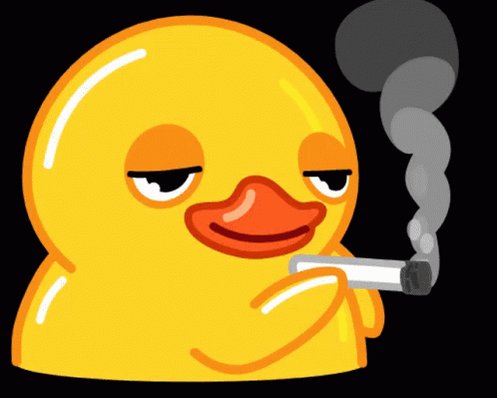 The image features a cartoon duck holding a cigarette, giving off smoke as it smokes. The background of the image is black with white text that reads "Pre-IPO perps are coming to Coinbase. Starting today with SpaceX - now live for eligible users outside the US. 24/7 trading. USDC-settled." This post seems to be related to cryptocurrency, specifically Bitcoin, as it mentions a new coin called "SpaceX" and talks about pre-IPO perps. The image also includes a watermark that reads "Post by @thesquaredream".