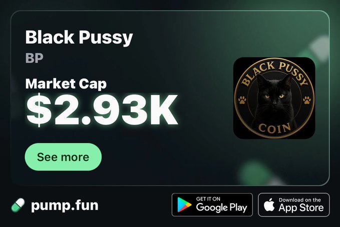 The user wants a concise caption for the provided image.
I need to identify key elements:
- Title: "Black Pussy"
- Ticker: "BP"
- Metric: "Market Cap"
- Value: "$2.93K"
- Logo: A black cat in a circle with text "BLACK PUSSY COIN"
- Button: "See more"
- Website: "pump.fun"
- App store badges: "GET IT ON Google Play", "Download on the App Store"
- URL mentioned in prompt: "join.pump.fun/HSag/v2z5n43j" (This is external context, but I should focus on the visible text primarily, though the prompt asks to relate it).

The prompt asks for a caption describing what is in the image, including key text, numbers, tickers, or names.

Drafting the caption:
The image displays information for a cryptocurrency named "Black Pussy"