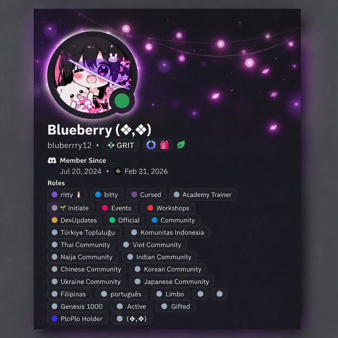 A Discord profile for user 'Blueberry (✧,✧)' with the username 'bluberry12', showing membership dates and various roles such as 'ritty', 'Cursed', 'Events', 'Türkiye Topluluğu', and 'Filipinas'.