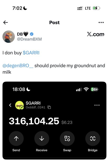 X (Twitter) post by @DreamBXM stating 'I don buy $GARRI @degenBRO__ should provide my groundnut and milk', with an attached wallet screenshot showing a balance of 316,104.25 ($6.23) for $GARRI.