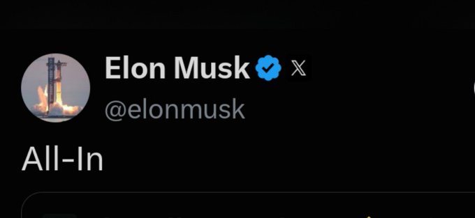 A screenshot of an X (Twitter) post by Elon Musk (@elonmusk) with a verified checkmark, displaying the text "All-In".
