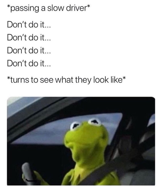 The image shows a meme with text reading "*passing a slow driver* Don't do it... Don't do it... Don't do it... Don't do it... *turns to see what they look like*" followed by a photo of Kermit the Frog driving a car. The accompanying caption "every single time" humorously highlights how drivers often resist the urge to rubberneck at slow drivers but give in once they glance over to see who's driving.