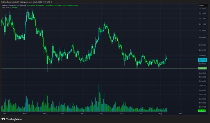 A TradingView candlestick chart for the PEKOU/USDT pair on Binance, showing price action from December to August with a downward trend.