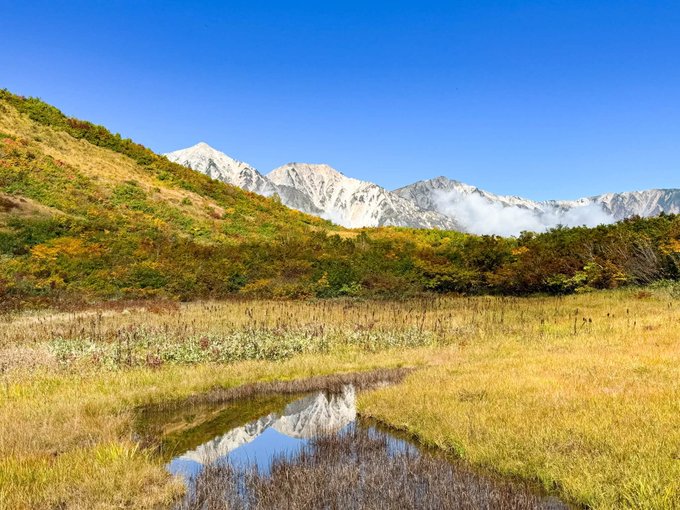 A scenic mountain landscape with snow-capped peaks rising above a forest of green and autumn-colored trees, reflected in a small pond surrounded by golden grass.
