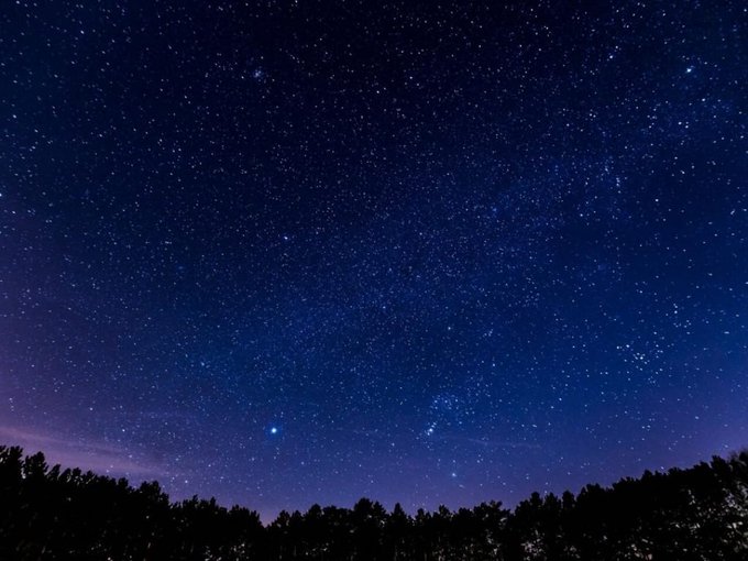 A night sky filled with countless stars, with a bright star visible in the lower center and silhouettes of treetops at the bottom edge.