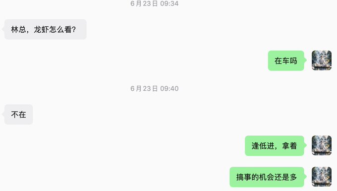 A Chinese chat screenshot shows a brief exchange where someone asks "林总，龙虾怎么看？" (Boss Lin, what do you think about lobster?) and receives the reply "不在" (Not there), before messages about "逢低进，拿着" (Buy the dip, hold) and "搞事的机会还是多" (Plenty of opportunities to stir things up) appear, humorously relating to the post's lament about holding lobster-themed crypto tokens instead of #Hakimi.