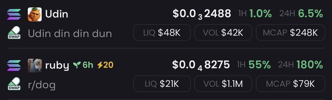 A crypto tracking dashboard displays two meme tokens: "Udin din din dun" ($UDIN) with a $248K market cap and 6.5% 24H gain, and "ruby" ($R/dog) at rank #20 with a $79K market cap and a substantial 180% 24H surge. The image supports the post's request for additional token shilling suggestions to complement the $UDIN and $RUBY holdings.