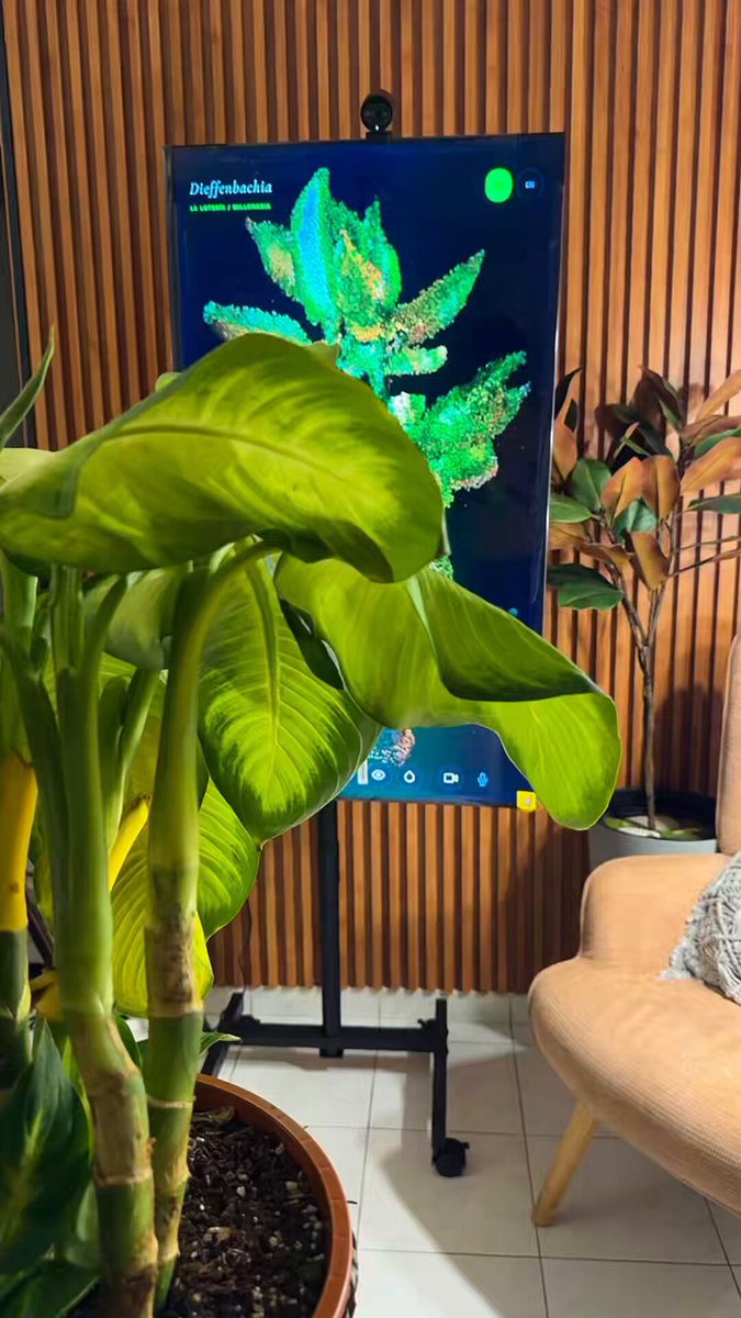 The image features an indoor setting with two potted plants placed near each other - one large plant and a smaller one. A poster or painting hangs prominently above them, adding visual interest to the scene. The room also contains a chair positioned towards the right side of the image.