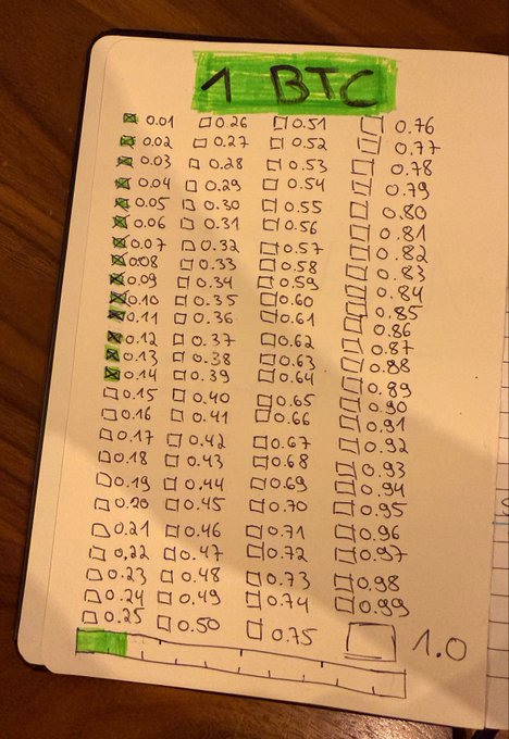 A handwritten goal tracker in a notebook titled "1 BTC" displays a checklist of decimal values from 0.01 to 1.0, with several early increments (0.01-0.14) marked off with green checkmarks, illustrating progress toward accumulating one whole Bitcoin.