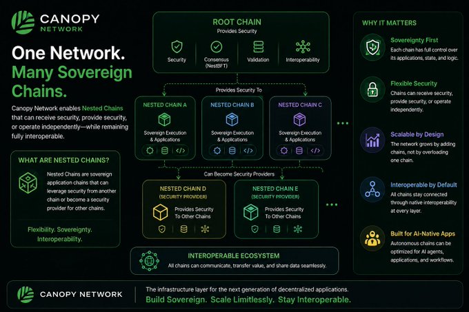 An infographic for 'Canopy Network' illustrates their 'One Network. Many Sovereign Chains' architecture, detailing how nested chains receive and provide security within an interoperable ecosystem.