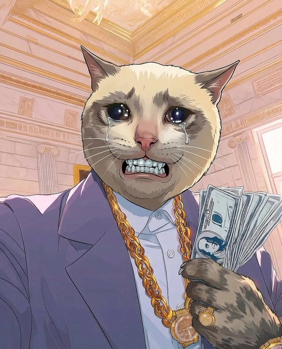 An anime-style crying cat wearing a gold chain and purple suit displays braces and clutches a fan of $100 bills, humorously depicting the emotional and financial state of a $CASHCAT holder who hasn't profited by September.