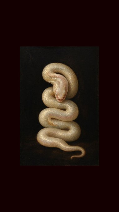 A coiled pale snake is depicted against a dark background in a classical painting style.