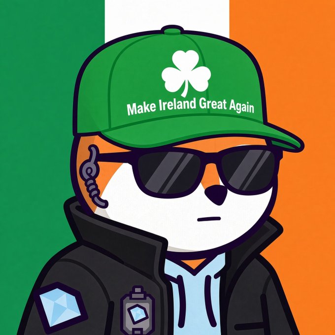 A cartoon illustration depicts a dog character wearing sunglasses, a green cap with a shamrock and 'Make Ireland Great Again' text, set against an Irish flag background.
