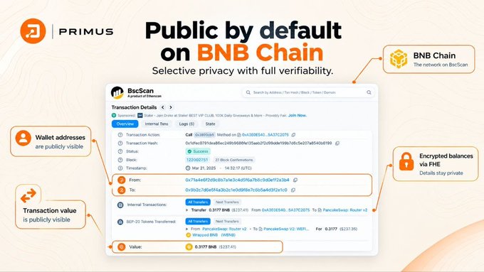 The image is a Primus promotional graphic titled "Public by default on BNB Chain: Selective privacy with full verifiability," showing a BscScan transaction details page that highlights how wallet addresses and transaction values (0.3177 BNB transfer) are publicly visible on the BNB Chain network, while noting that encrypted balances via FHE remain private. The image directly illustrates the post's point about how BNB Chain transactions expose wallet balances, transfer history, and timing to anyone on BscScan—supporting the author's argument that whales and big money need privacy on a transparent blockchain.