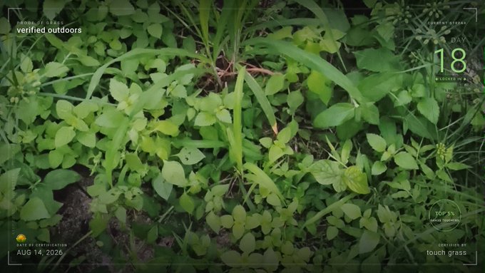 A screenshot of an app interface over a background of grass and leaves, displaying "verified outdoors," "CURRENT STREAK DAY 18," "TOP 5% GRASS TOUCHERS," and the date "AUG 14, 2026."