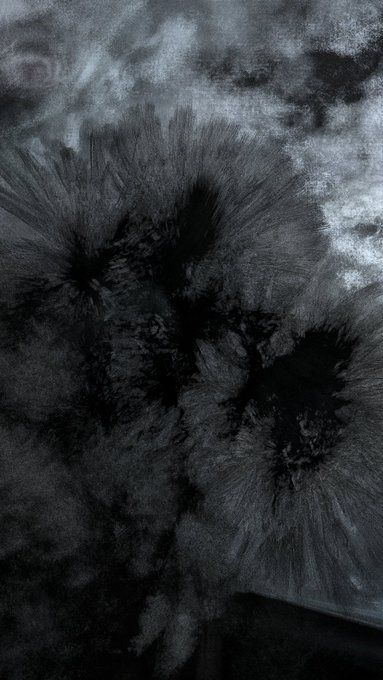 A dark, abstract black and white image featuring radiating textures that resemble the feathery structures of mold or fungi.