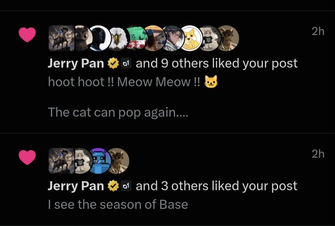 A screenshot of social media notifications showing 'Jerry Pan' (with a verified badge) liking posts, with comments reading 'hoot hoot !! Meow Meow !! 🐱 The cat can pop again....' and 'I see the season of Base'.
