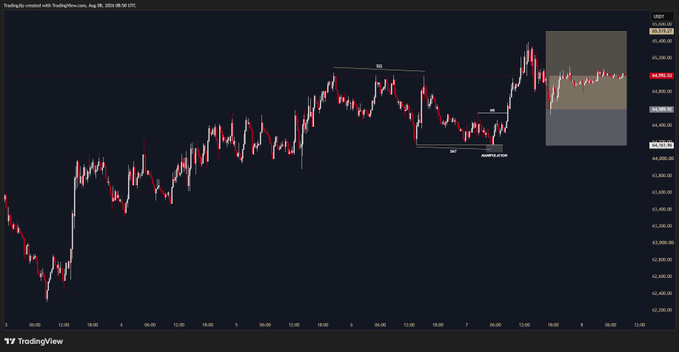 A TradingView USDT price chart displays BTC/USD candlestick data at 65,920.00, marked with a "SBR" (Swing Block Resistance) level, "DOL" (Demand Order Line), and a "Manipulation" zone where a long trade is closed for +1R before the weekend. The chart features a shaded rectangular area on the right side highlighting recent price action following the manipulation point.