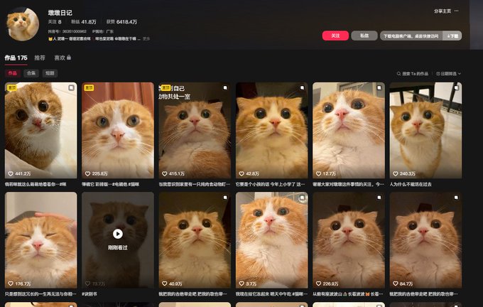 A Chinese social media profile page displays the username '墩墩日记' with '176' posts and '9.9万' followers, showing a grid of similar golden cat photos.