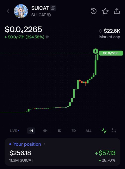 Mobile trading screen showing the SUICAT token (SUI CAT) at $0.0₄2265 with a +324.58% gain in 1H, displaying a sharp upward price chart and a user position of $256.18 (+28.70%).
