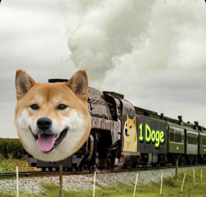 A Shiba Inu dog (Doge) has been photoshopped onto the front of a steam locomotive, with the text "1 Doge" displayed in green on the side of the train, fitting the meme's "1 Doge" theme in a literal, train-spotted style.