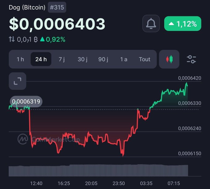The image shows a 24-hour price chart for Dog (Bitcoin) ($DOG) trading at $0.0006403, up 1.12% with a +0.92% increase. The chart displays a sharp drop to around $0.0006150 followed by a strong recovery to a peak of $0.0006420, visually supporting the post's bullish claim that "$DOG is in the green and this is just the beginning."