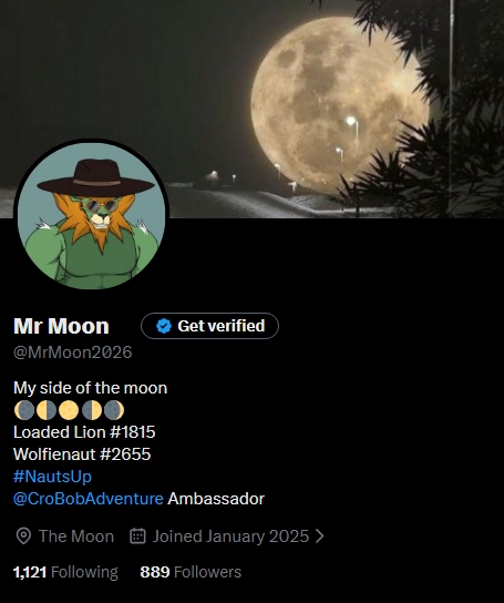 A Twitter profile page for "Mr Moon" (@MrMoon2026) shows a cartoon fox avatar wearing a hat and mask, with bio text reading "My side of the moon" and follower stats including "1,121 Following" and "889 Followers".