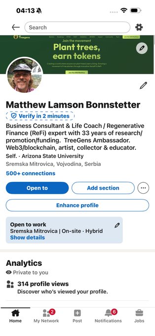 A LinkedIn profile screenshot for Matthew Lamson Bonnstetter, a Business Consultant & Life Coach / Regenerative Business (ReFi) expert and TreeGens Ambassador from Sremska Mitrovica, Vojvodina, Serbia, showing 500+ connections and being open to work.