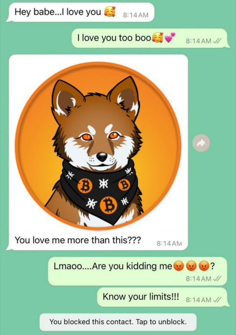 Text message exchange where someone sends a Bitcoin-themed Shiba Inu sticker asking 'You love me more than this???' and gets blocked, with replies including 'Lmaoo....Are you kidding me' and 'Know your limits!!!'