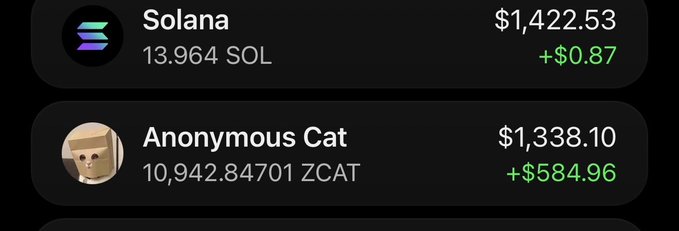 The image shows a portfolio display featuring Solana (SOL) worth $1,422.53 (+$0.87) and Anonymous Cat (ZCAT) valued at $1,338.10 with a notable gain of +$584.96. This visually supports the post's claim of receiving over $1k worth of $ZCAT by simply holding it within the $TACZ ecosystem.