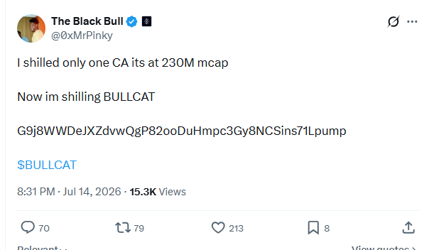 A tweet from verified account @0xMrPinky ("The Black Bull") promoting a meme coin called $BULLCAT with a Solana contract address, claiming a past shill reached 230M mcap. The flagged post highlights that this account is impersonating @blknoiz06 to shill a "bundled coin," suggesting the promotion is a scam leveraging a verified handle's credibility.