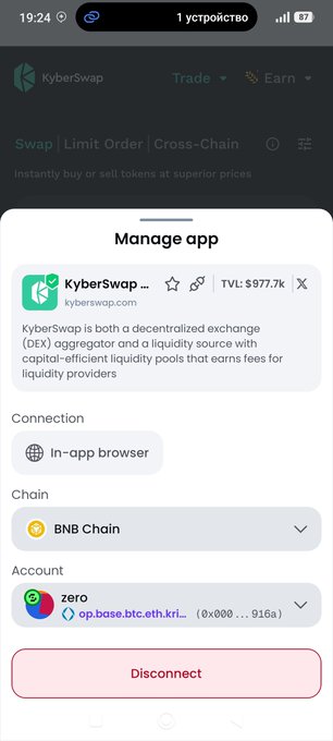 A mobile interface for KyberSwap showing a 'Manage app' screen with options for an in-app browser connection on BNB Chain and a 'Disconnect' button.