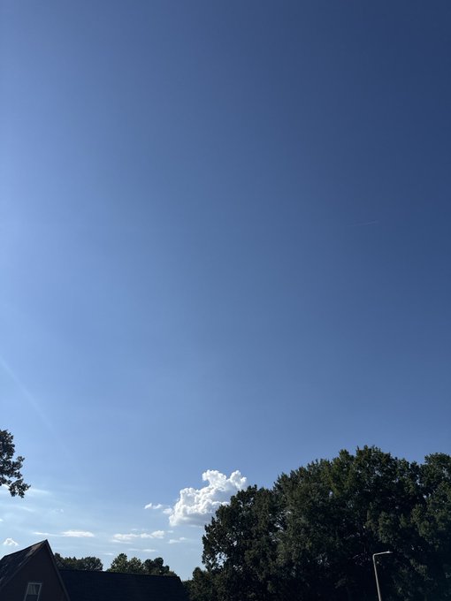 A clear blue sky with light clouds above silhouetted treetops and the corner of a brick building.