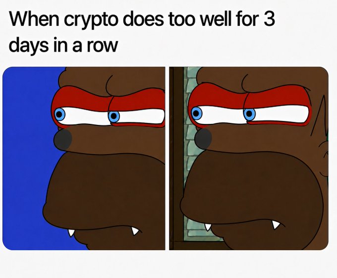 A meme featuring two side-by-side images of a brown dog character with angry red eyebrows and a suspicious expression, captioned 'When crypto does too well for 3 days in a row'.