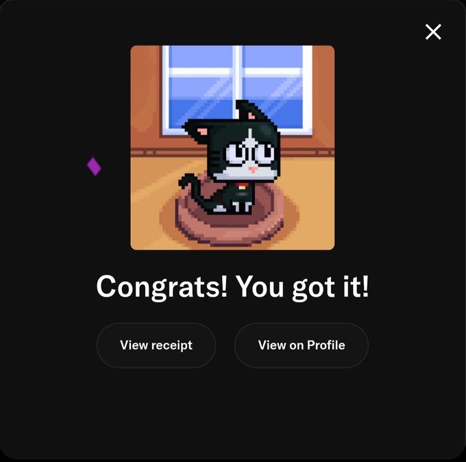 A pixel art black cat sits in a brown basket by a window, accompanied by the text "Congrats! You got it!" along with "View receipt" and "View on Profile" buttons, celebrating the user's successful acquisition of a Kuantomcat NFT before bed.