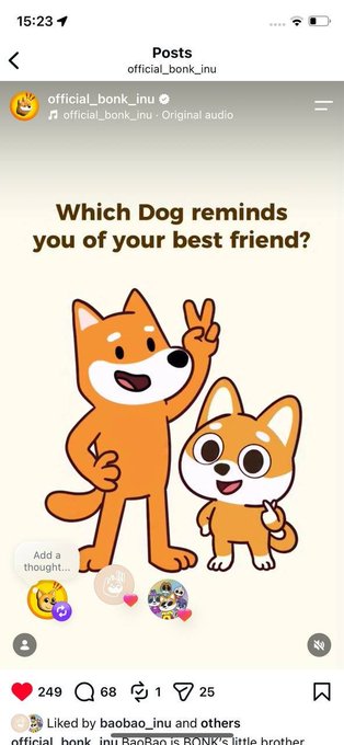 A cartoon Shiba Inu and a smaller dog make peace signs above the text "Which Dog reminds you of your best friend?" on an Instagram post by @official_bonk_inu, supporting the caption's claim that BaoBao is BONK's "little brother."