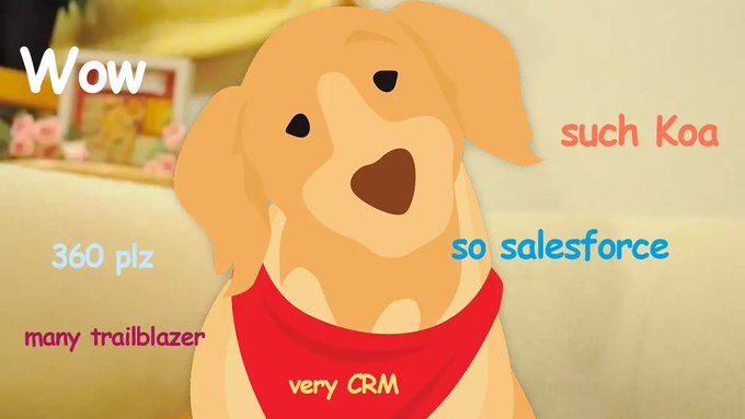 A "Doge" meme featuring a cartoon dog with text using Doge-speak language including "Wow," "360 plz," "many trailblazer," "such Koa," "so salesforce," and "very CRM."