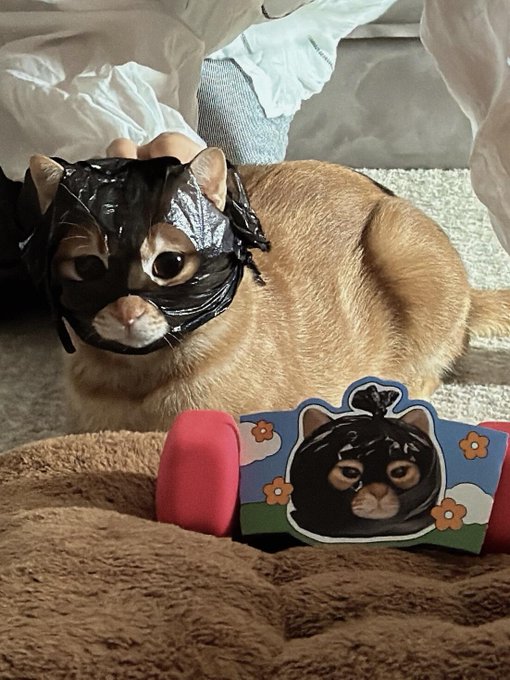 An orange cat wearing a black plastic bag on its head, lying on a bed next to a cardboard toy with a sticker of the same cat.