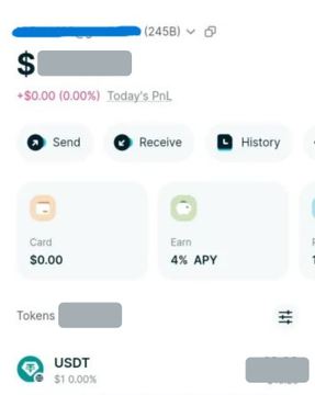 A mobile cryptocurrency wallet interface shows a balance of $0.00 with options to Send, Receive, and view History, alongside cards for spending and earning 4% APY, with USDT tokens listed below.