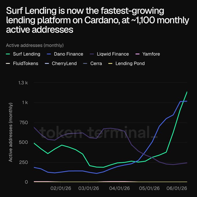 The image features a line graph with several data points that show the growth of Active Address over time, as well as the current number of active addresses on Surf, which is now at 1K. The title of this post reads "Surf is on @tokenterminal now and we are the most active lending platform on cardano by monthly active addresses".